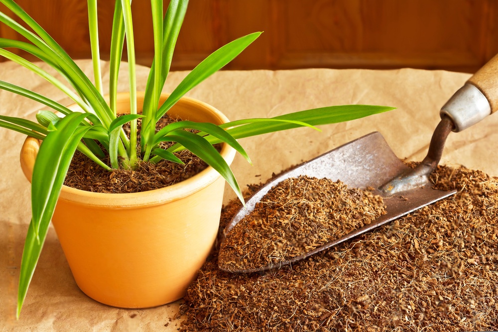 Discover the Secrets of Using Coco Coir Bricks in Your Garden